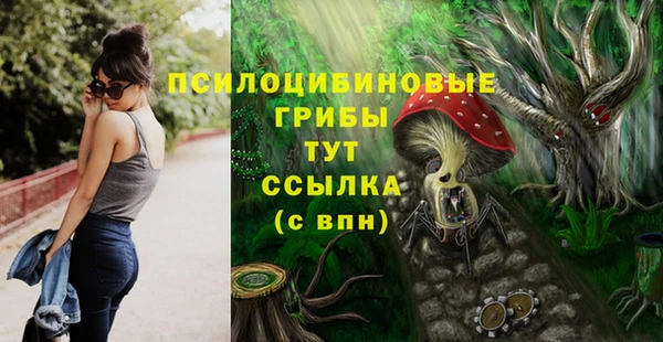 не бодяженный Козельск