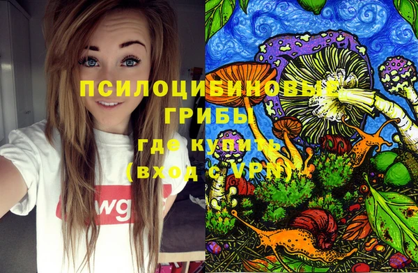 МДМА Киреевск
